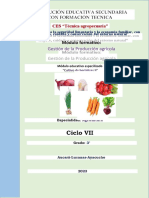 Módulo Educativo Especializado Cultivo de Hortalizas II