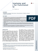 Anatomy and Evaluation in Rhinoplasty