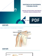 Repaso Anatomia