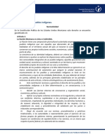 3 Derechos Pueblos Indígenas