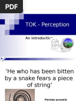 TOK - Perception: An Introduction