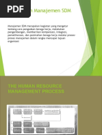 Human Resource Management Process