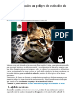 Animal24 Animales en Peligro de Extinción de México