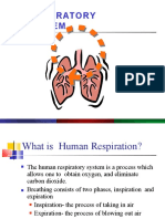 Respiratorysystem 151130013303 Lva1 App6891