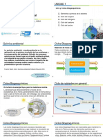 Ciclos Biogeoquimicos