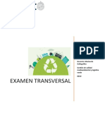 Examen Medioambiente Candia Fuenzalida