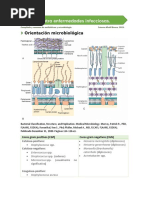 Terapia Contra Enfermedades Infecciosas