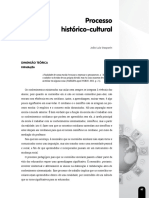 Processo Historico Cultural