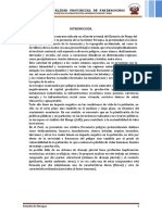 02.informe - Riesgos