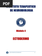 Manual Modulo 4 Ectodermo Letra 13-1-1