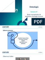Anatomia y Fisiologia Carrion Clase 7