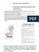 Sistema Nervioso Periférico