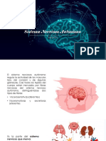 Sistema Nervioso Autonomo