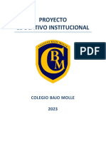 PEI 2023 Colegio Bajo Molle