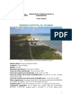 El Palmar. Sisal