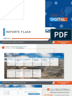 Anexo 1.7. Guia Rapida Reporte Flash