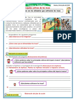 PDF Documento