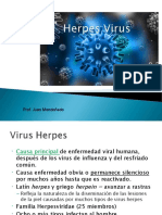 Virus Herpes