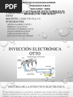 Inyeccion Electronica Otto