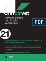 MM Clincirvet 21 Compressed