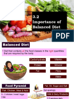 3.2 Importance of A Balanced Diet