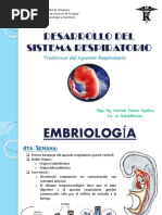 Desarrollo Del Sistema Respiratorio