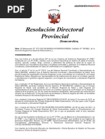 Modelo Resolucion Directoral