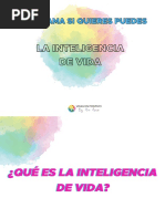 Inteligencia Racional