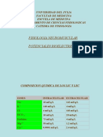 Fisiologia Del Sistema Neuromuscular