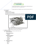 FICHA DE REFUERZO El-Citoplasma - Doc 4TO