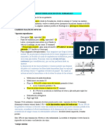 Cambios Fisiologicos en El Embarazo