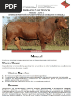 CLASE 1. Sistemas de Produccion Actuales y Potenciales Con Bovinos en Venezuela