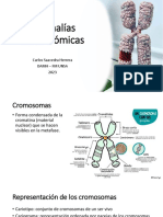 Anomalías Cromosómicas Numéricas y Estructurales 2023