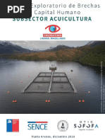 Brechas de Capital Humano Exploratorio Acuicultura - Magallanes - 2018