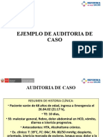 Ejemplo Auditoria de Caso