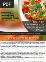 Insuficiencia Renal.