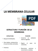 Membrana Celular y Mecanismos de Transporte Nueva