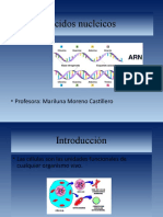 Acidos Nucleicos