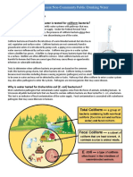 Coliform Bacteria