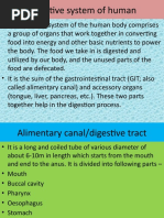 Digestive System of Human (Biology)