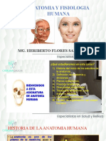 Anatomia Humana Estetica 2021