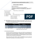 EIA - Pte. Chauchabmba y Pingo