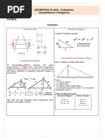 Teoria - Geometria Plana 2 - Triângulos, Quadriláteros e Polígonos