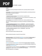 HISTÓRIA E GEOGRAFIA DO AMAPÁ - Anotações