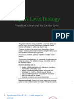 3.3.4 The Circulatory System