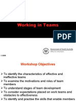 Working in Teams Presentation