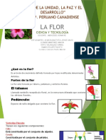 Clases de Flores