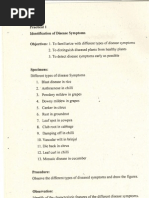 Pathology Practical Manual