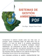 Sistemas de Gestion Ambiental