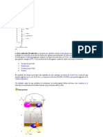 Beta Oxidación